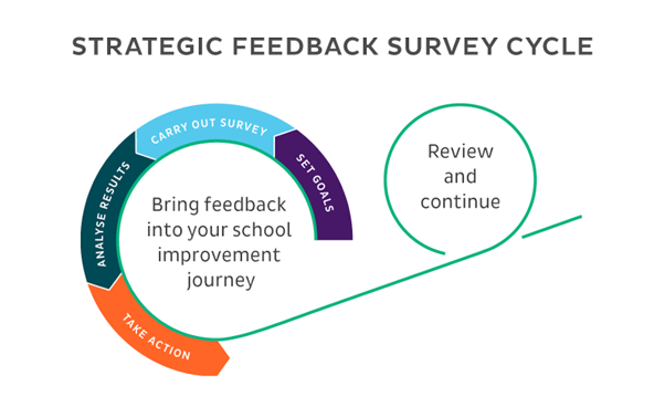 survey feedback cycle